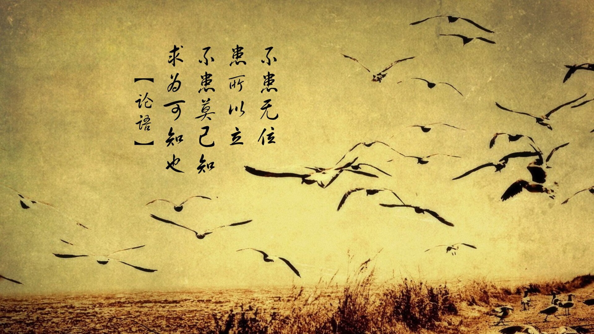 德甲激烈对抗，教练强调团队合作，德甲各俱乐部现任教练
