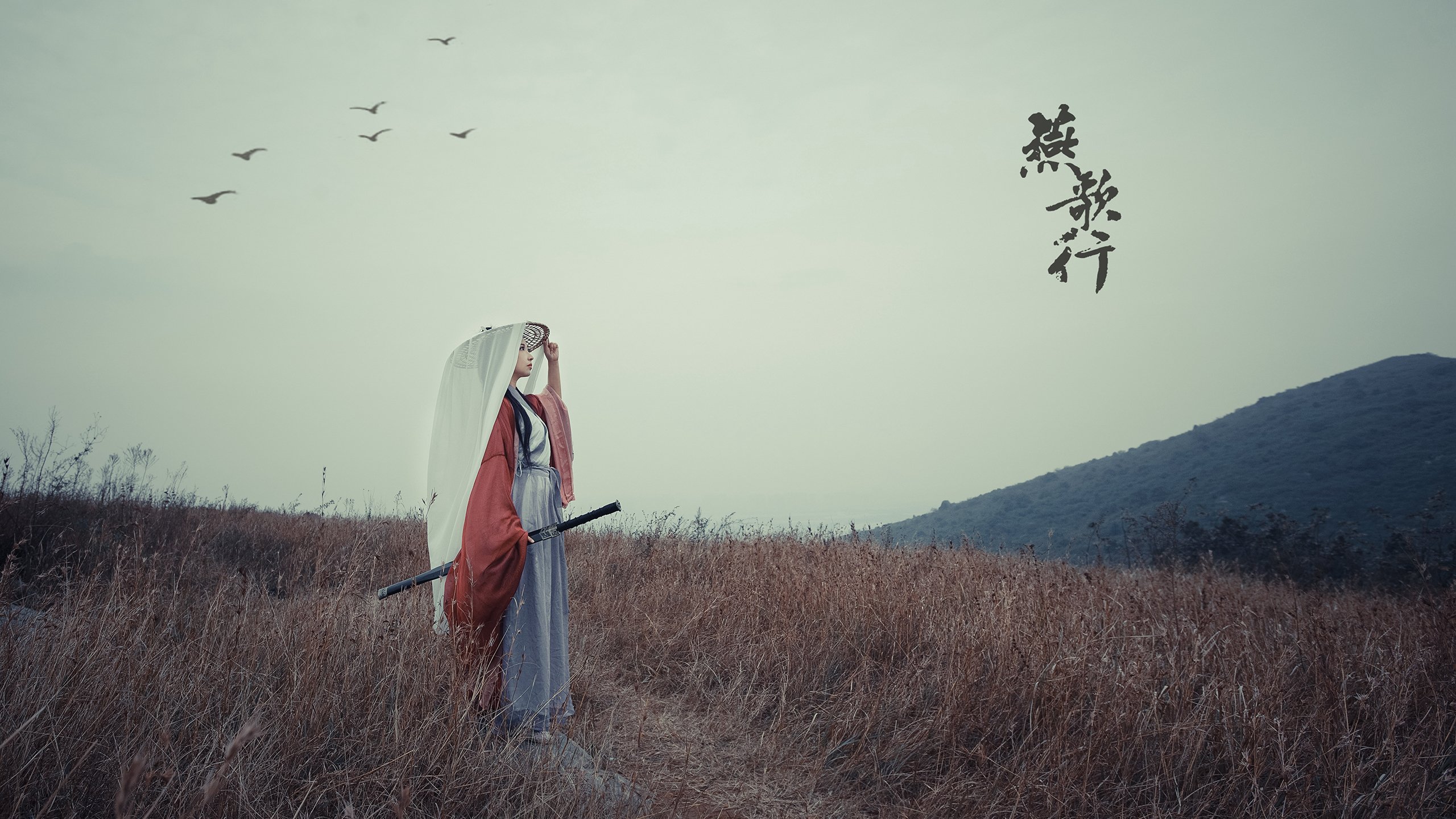 篮球职业联赛赛程安排科学合理，篮球职业联赛叫什么