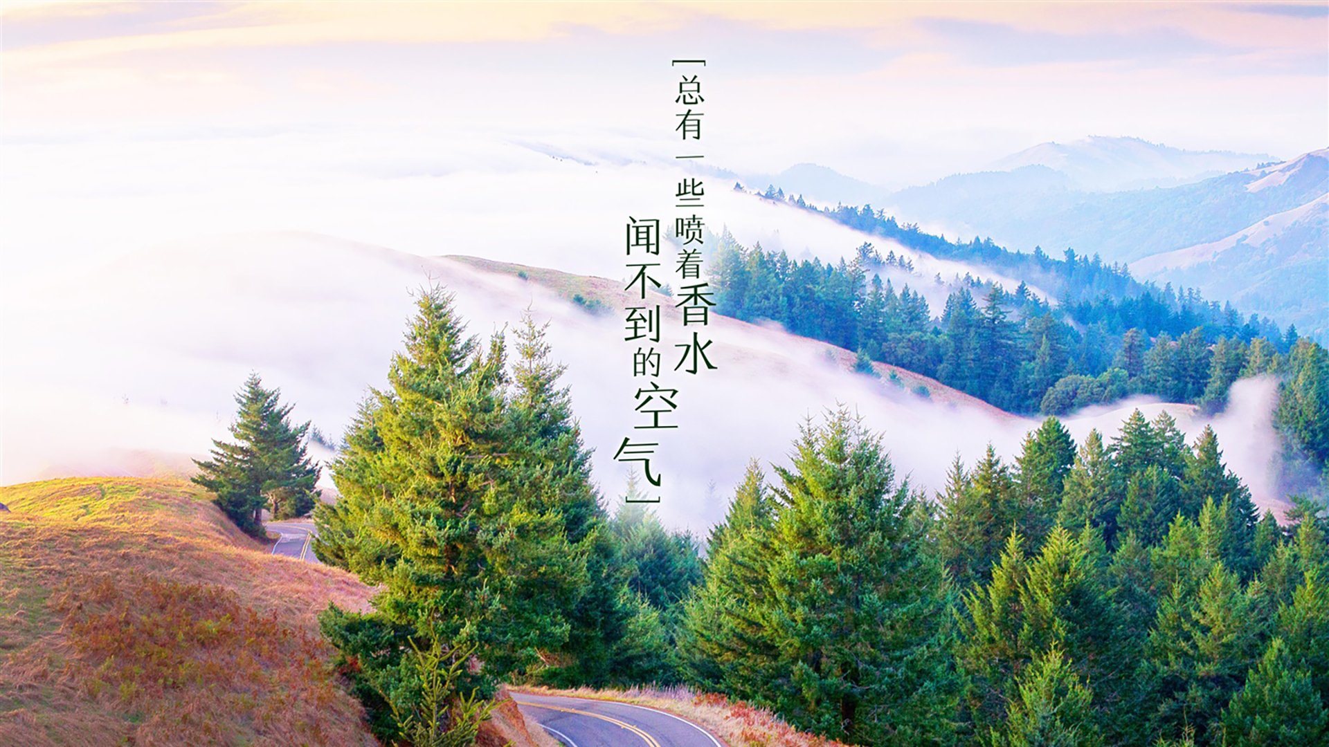 亚非篮球冠军诞生，实力碾压夺魁，亚非控股集团