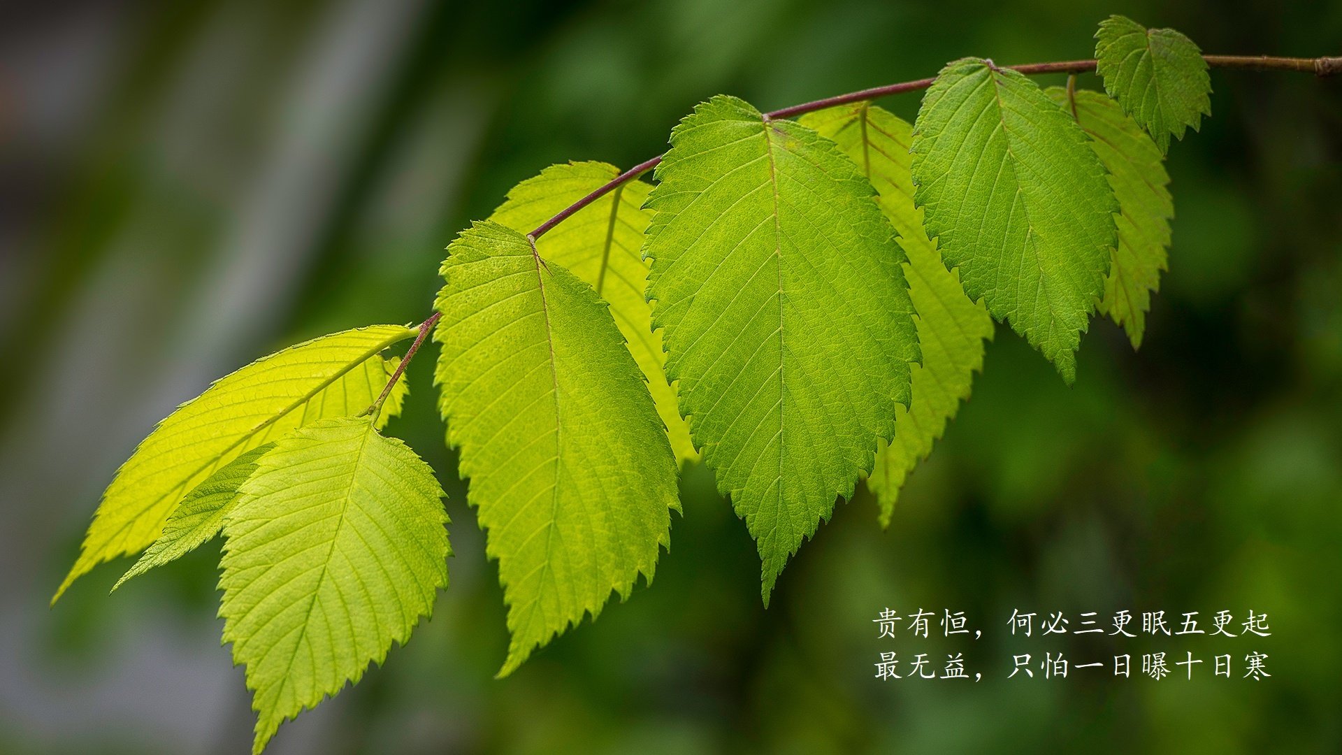 kaiyun官方网站-女足世界杯球迷助威团启程赴海外，女足世界杯媒体关注空前,但女性足球记者仍面临障碍