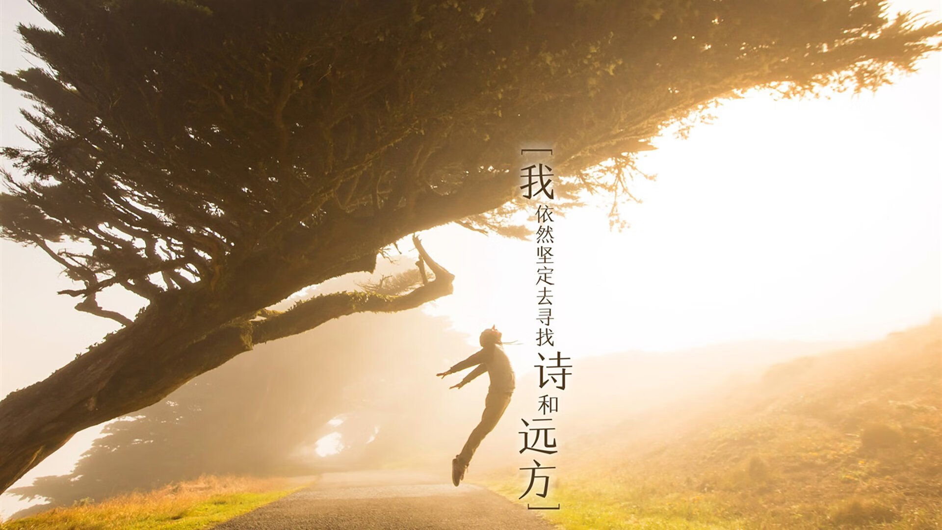 挪威力克芬兰，成功晋级欧锦赛淘汰赛，挪威力克芬兰,成功晋级欧锦赛淘汰赛了吗