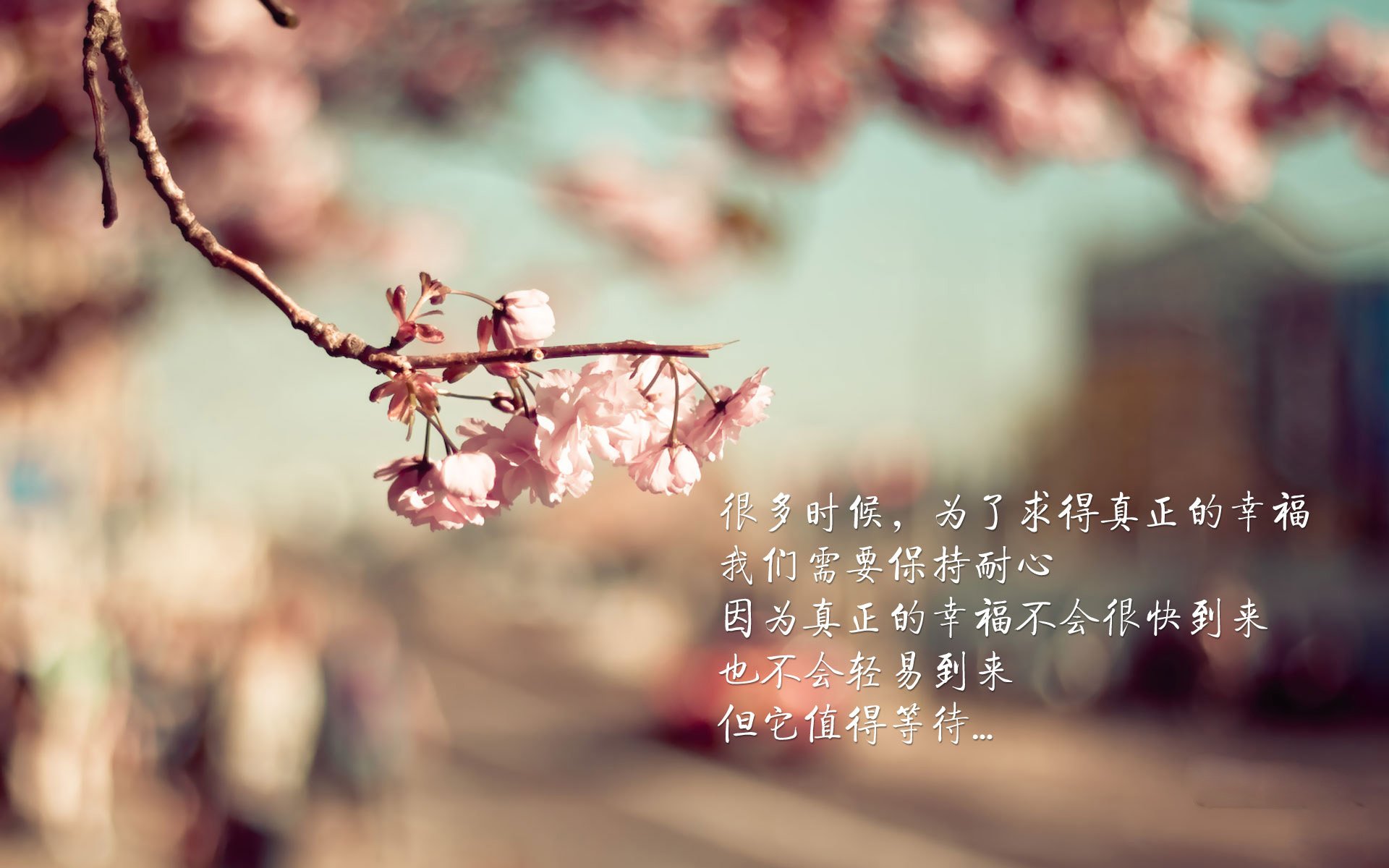 kaiyun中国官方网站-东亚杯中国足球逆袭 球员配合有明显提升，东亚杯国足成绩