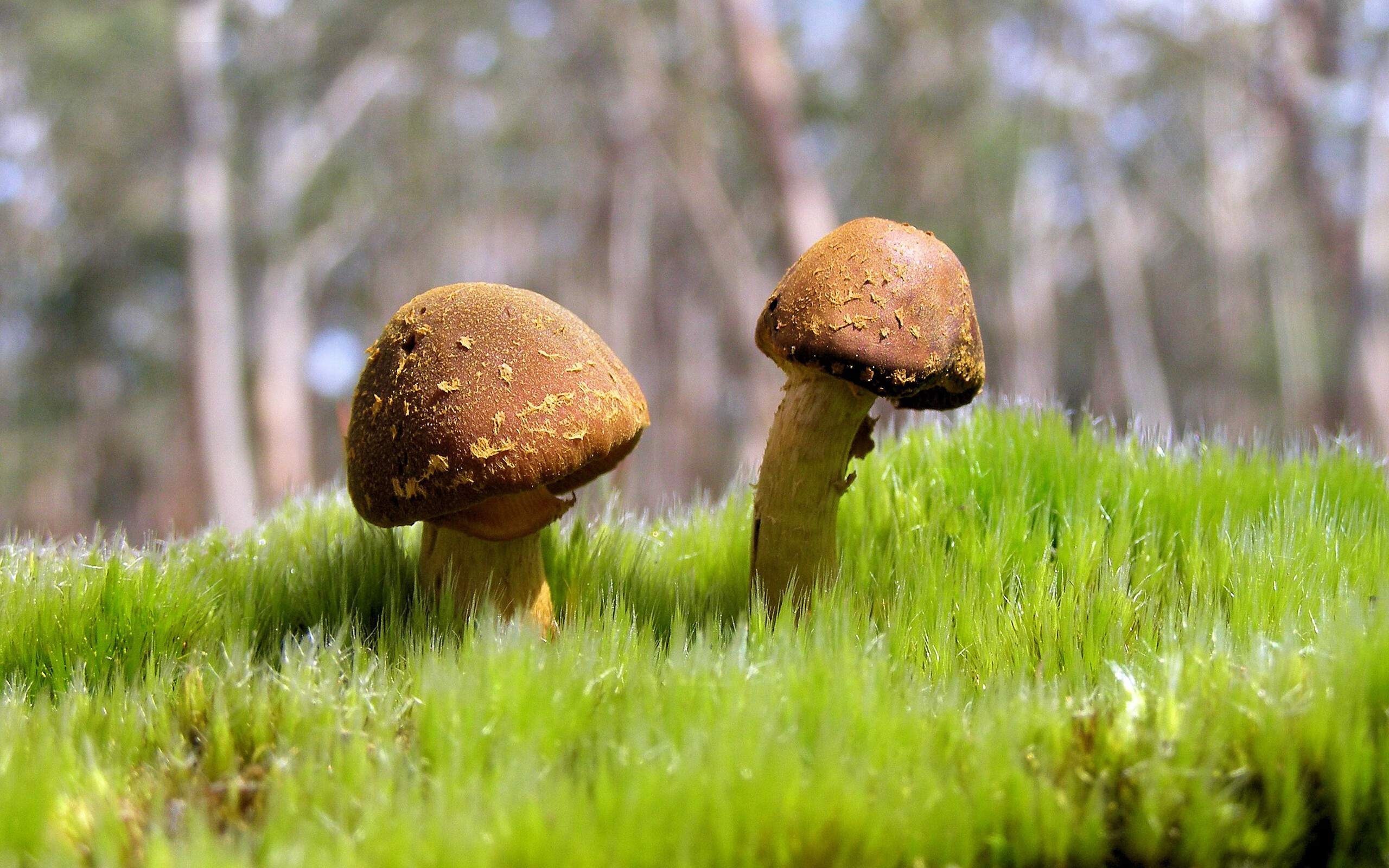 kaiyun登录入口-赛事安保升级确保观众体验和现场秩序双重保障，体育赛事安保方案